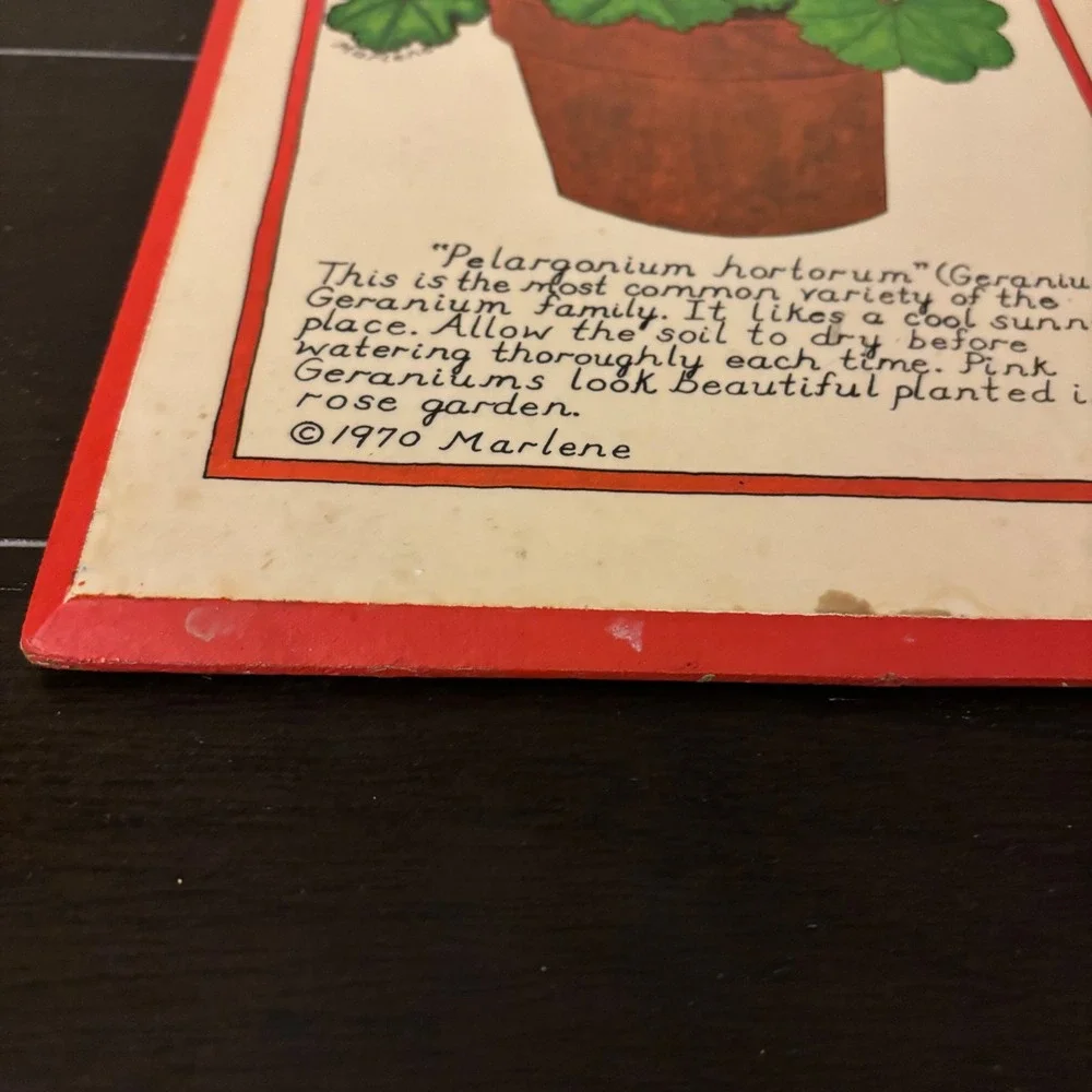 Vintage 1970 Marlene Jalem Plaque Co | Potted Flower Series 3pc Set | Beveled